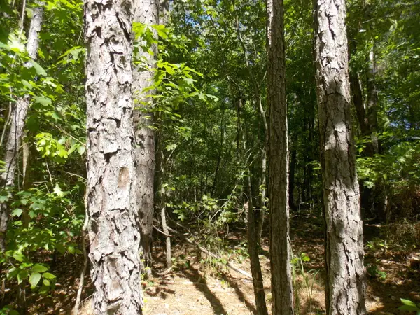 12 Doe Run, Lincolnton, GA 