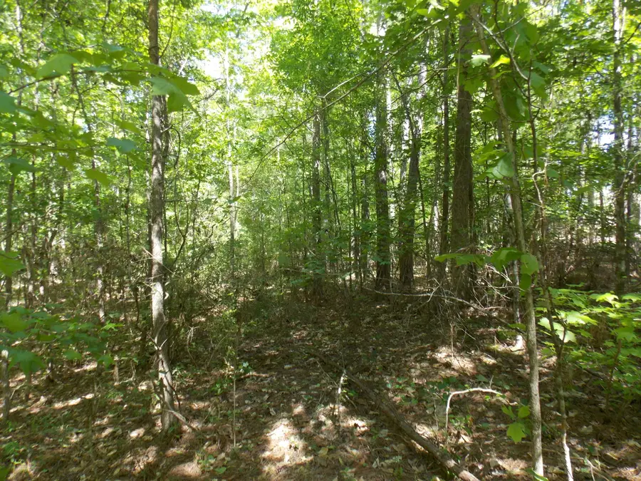 12 Doe Run, Lincolnton, GA 30817 - #2