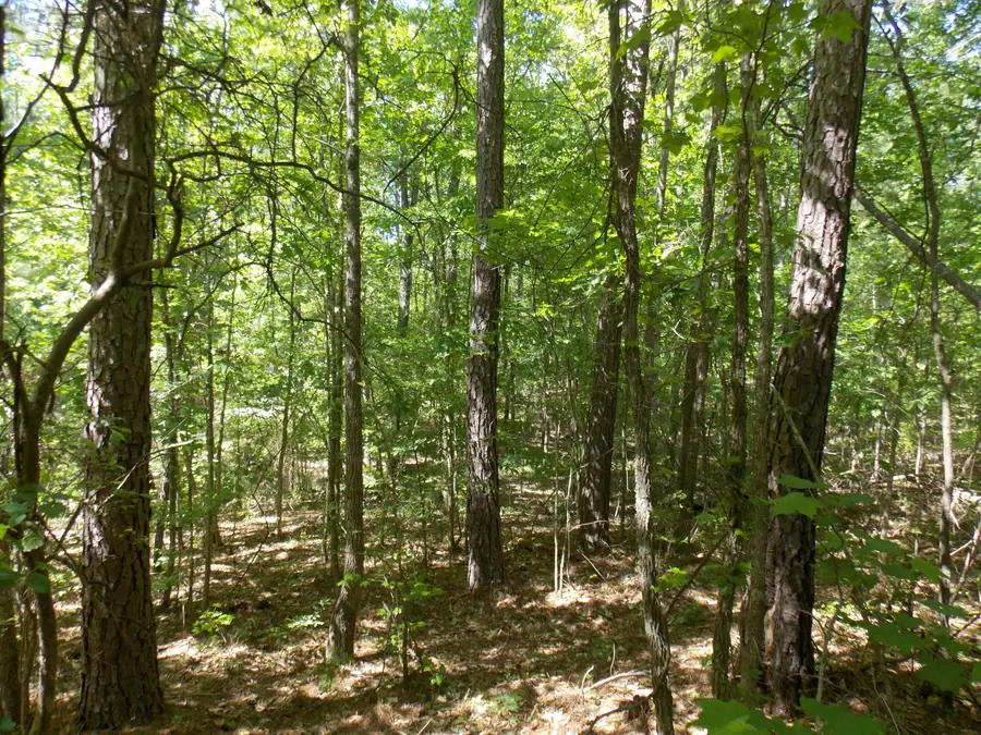 12 Doe Run, Lincolnton, GA 30817 - #3