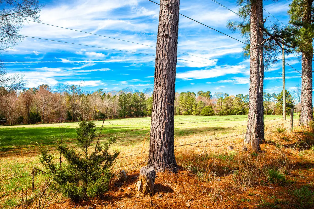 3510 Mistletoe Rd, Appling, GA 30802 - #1