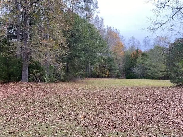 6384 Cobbham Road, Appling, GA 30802 - #2