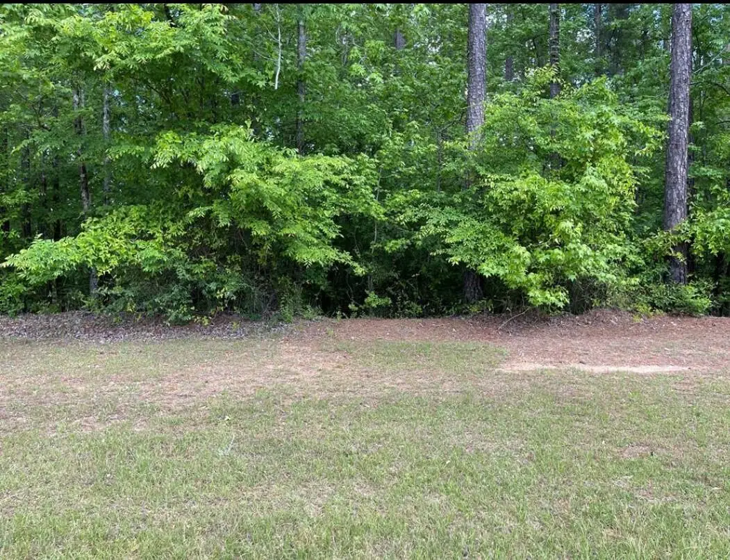 Lot N-17 Captain Johnsons Drive, North Augusta, SC  - #1