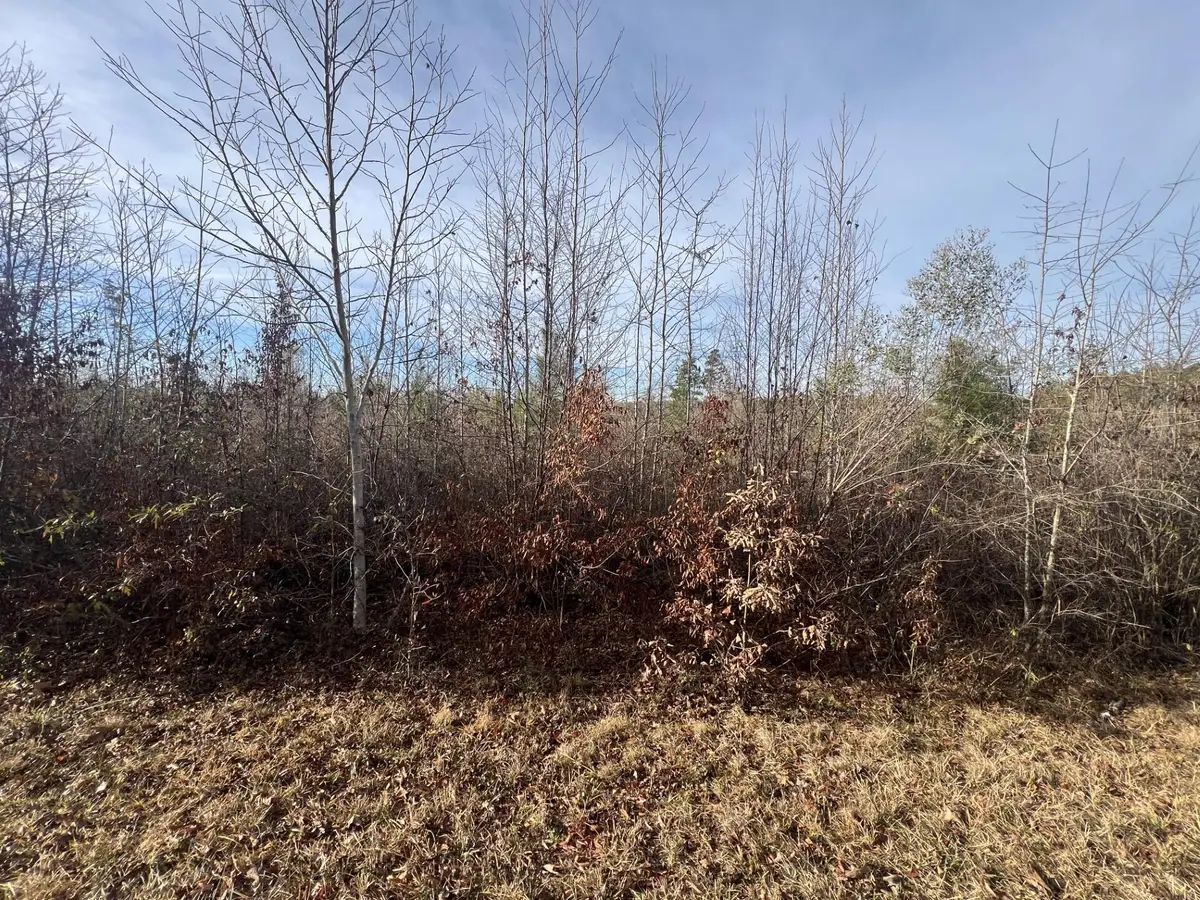 LOT3 Hephzibah Church Road, Lincolnton, GA 30817 - #1