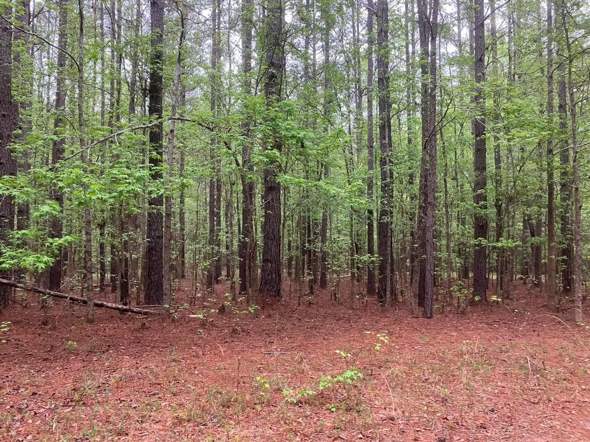 935 Neptune Trail, Appling, GA 30802 - #1