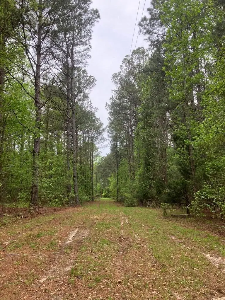 935 Neptune Trail, Appling, GA 30802 - #3