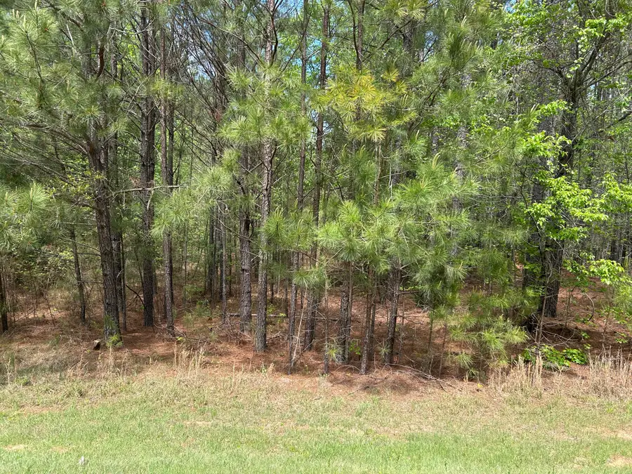 1147 Watersedge Cove, Tignall, GA 30668 - #2