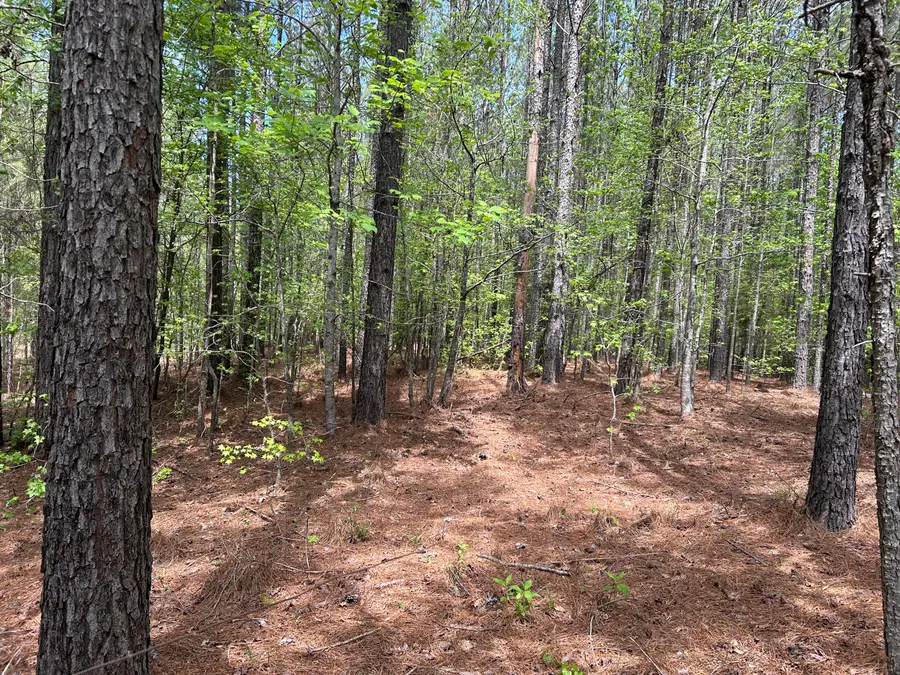1147 Watersedge Cove, Tignall, GA 30668 - #3