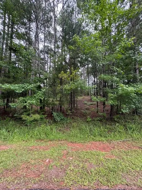 L3, B66 Crescent Drive, McCormick, SC 29835 - #2