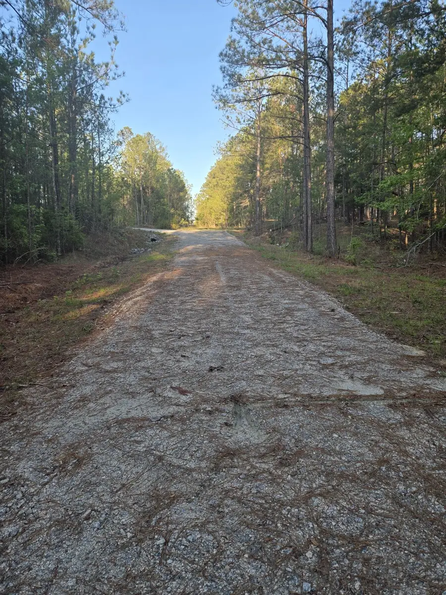 0 Sweetgum Lane, Lincolnton, GA 30817 - #2