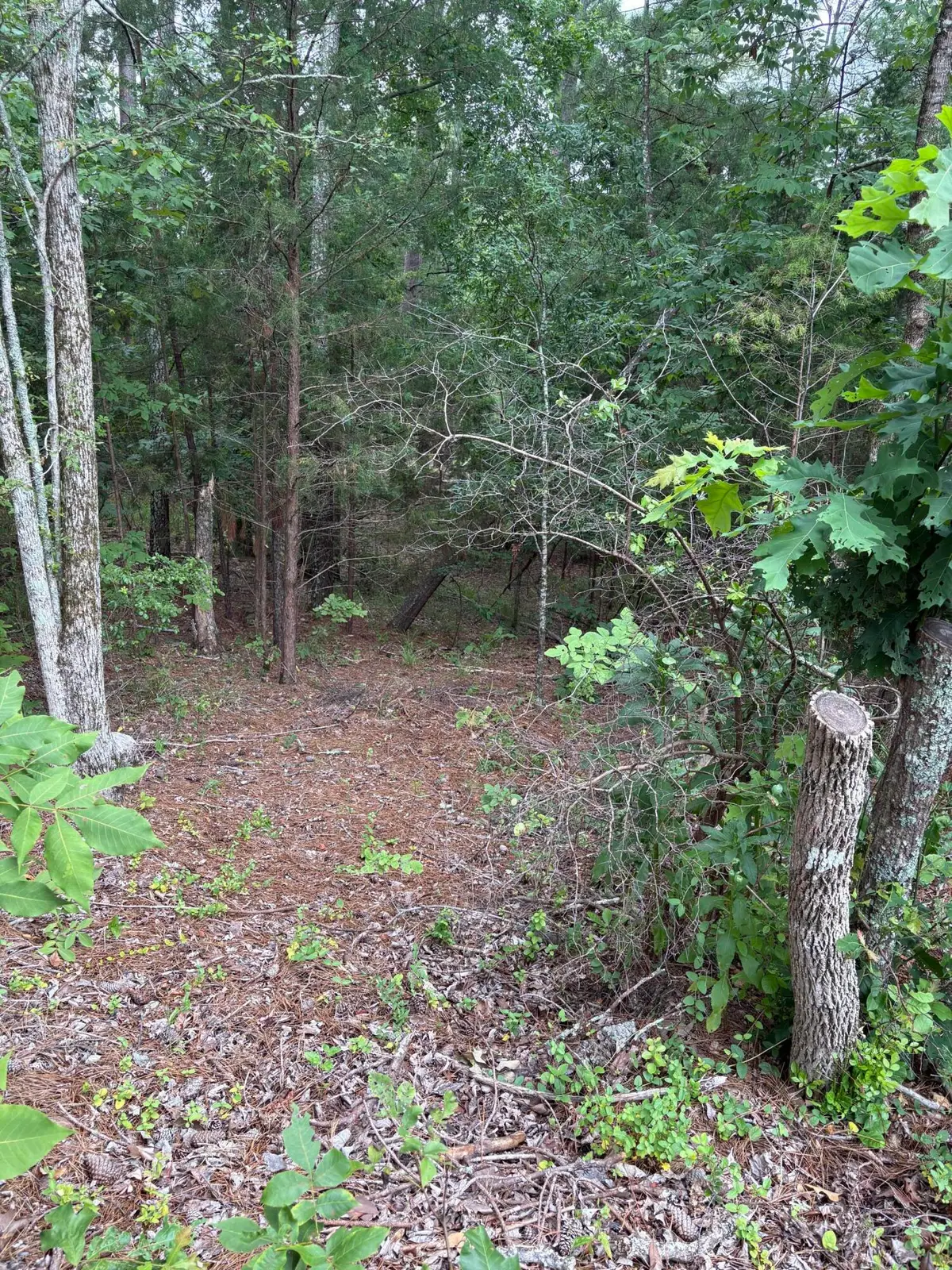 Lot 15 Overlook Point, McCormick, SC 29835 - #1