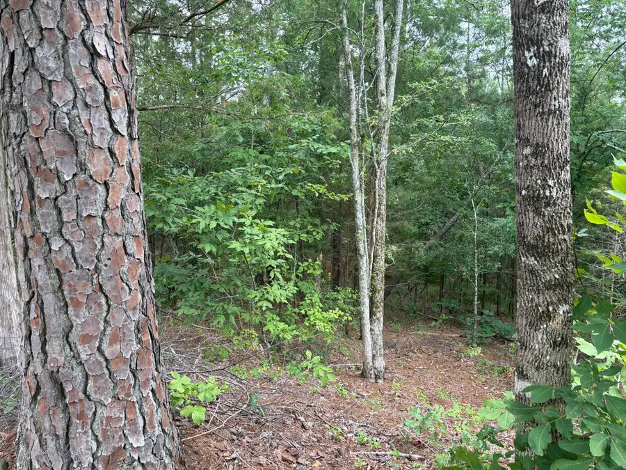 Lot 15 Overlook Point, McCormick, SC 29835 - #3