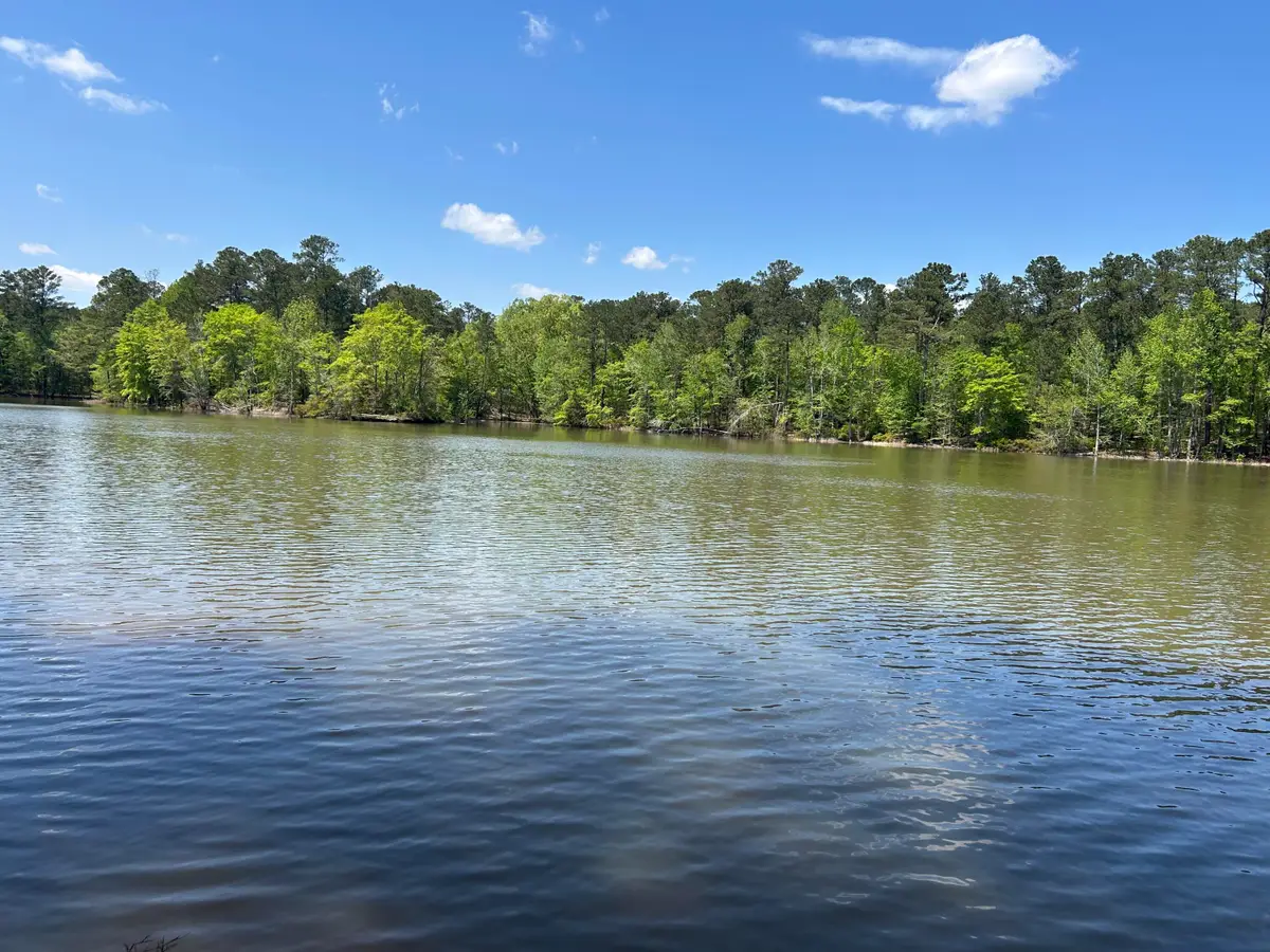 1153 Watersedge Cove, Tignall, GA 30668 - #1