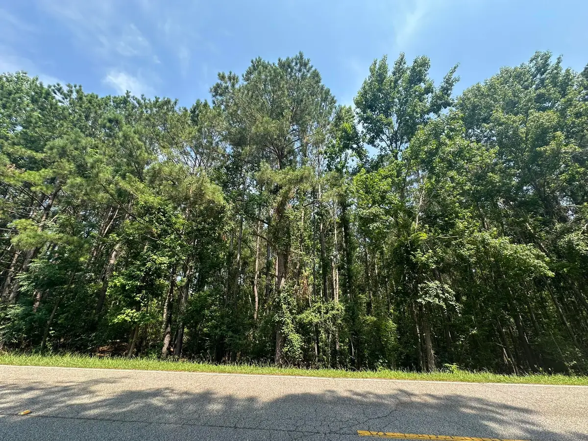 Lot 1-E Ridge Road, Appling, GA 30802 - #1