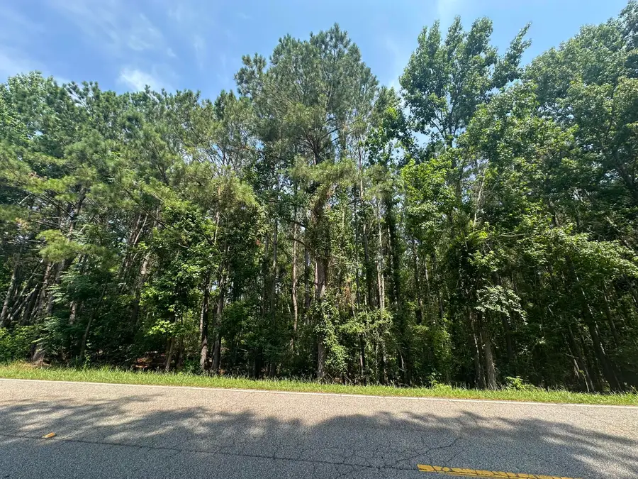 Lot 1-E Ridge Road, Appling, GA 30802 - #2