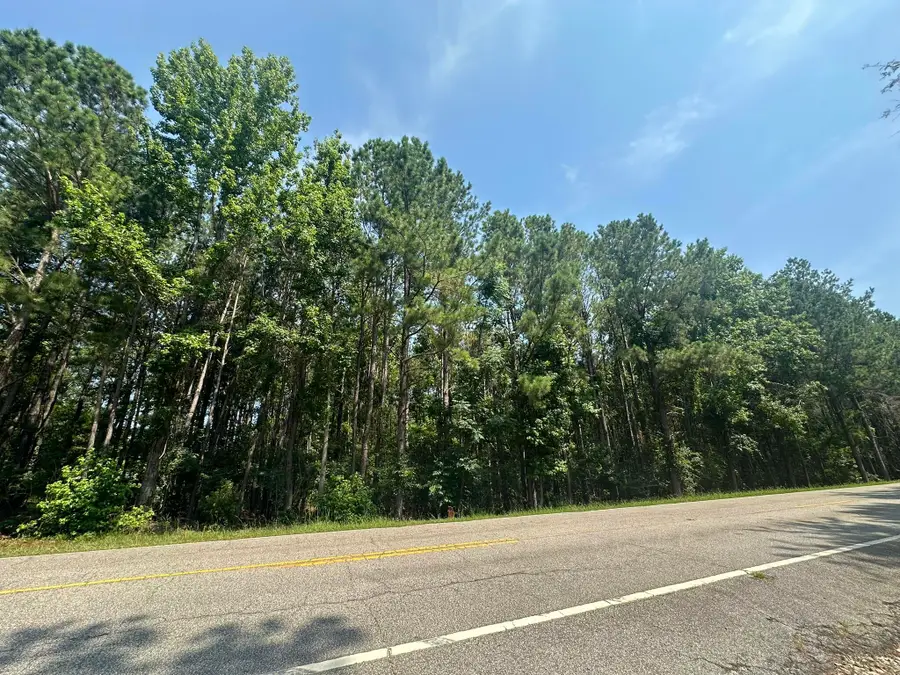 Lot 1-E Ridge Road, Appling, GA 30802 - #3