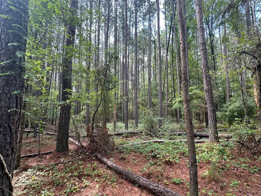 Lot 2 Dogwood Lane, Parksville, SC 29845 - #2