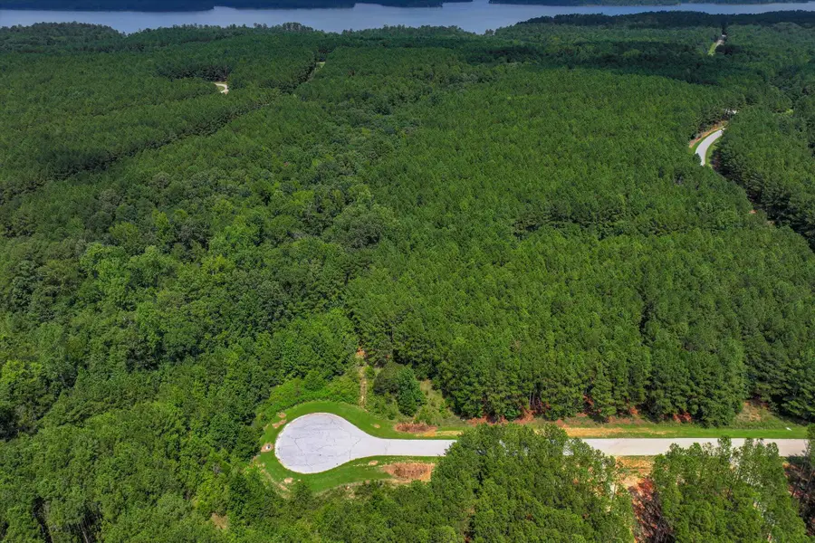 1210 Edge Lane, Tignall, GA 30668 - #3