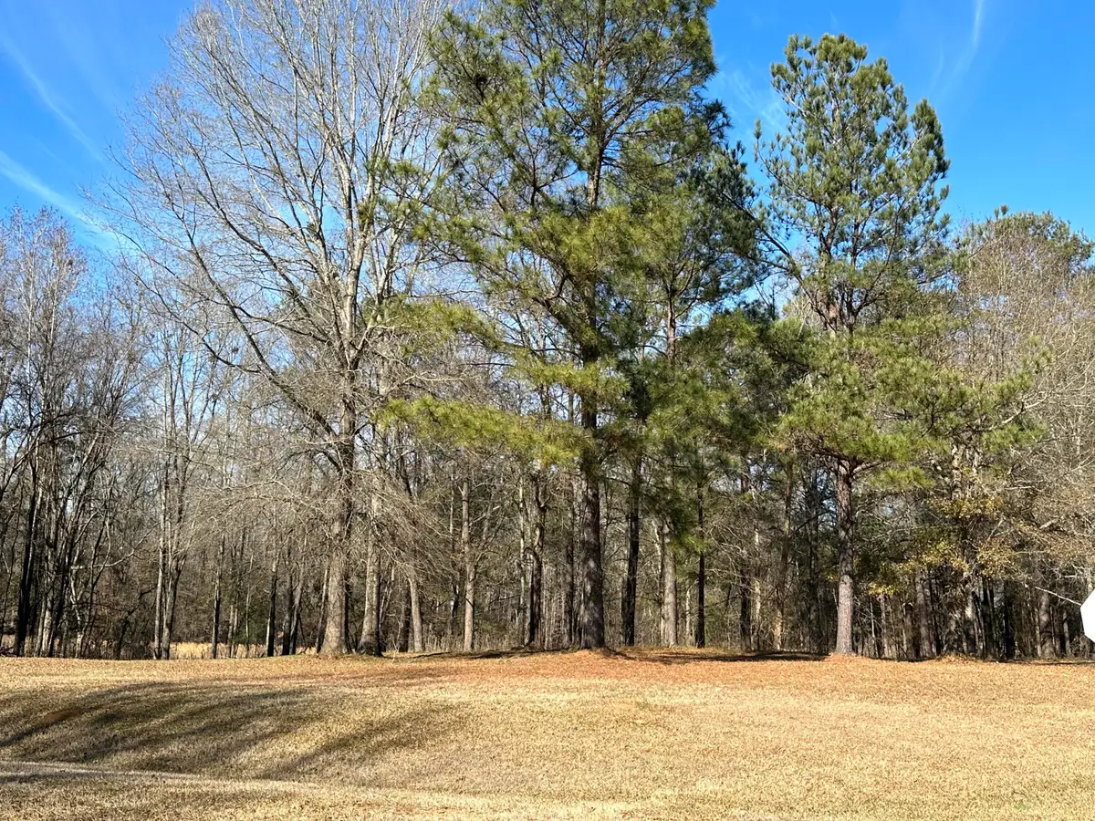 37 Crestridge Dr (lot 37) Drive, Waynesboro, GA 30830 - #1