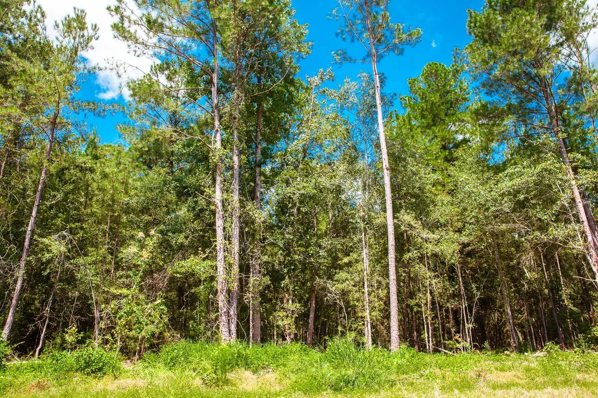 Lot 12 Leyland Court, Clarks Hill, SC 29821 - #1