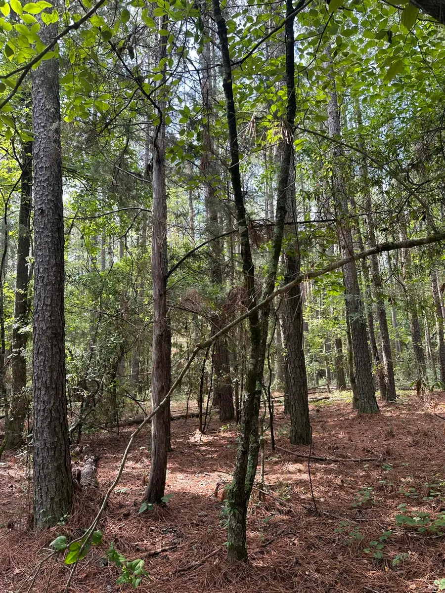 Lot 1 Dogwood Lane, Parksville, SC 29845 - #2