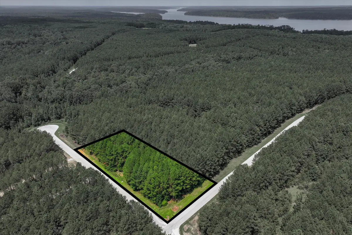 1070 Cody Trail, Tignall, GA 30668 - #1