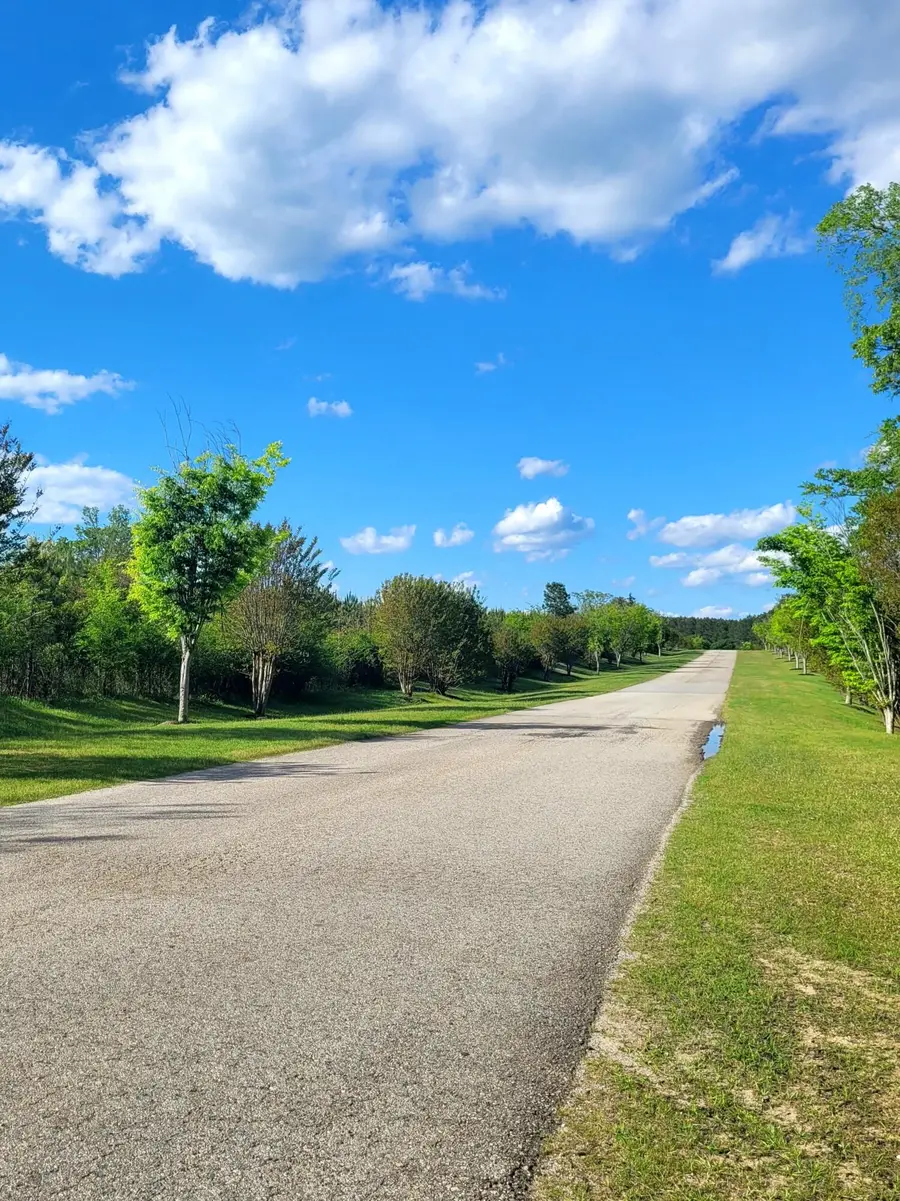 1070 Cody Trail, Tignall, GA 30668 - #3