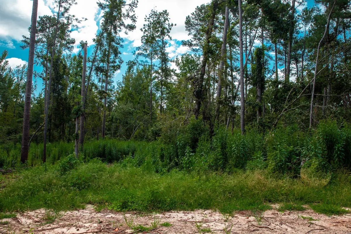 Lot 1 Furey Drive, Clarks Hill, SC 29821 - #1
