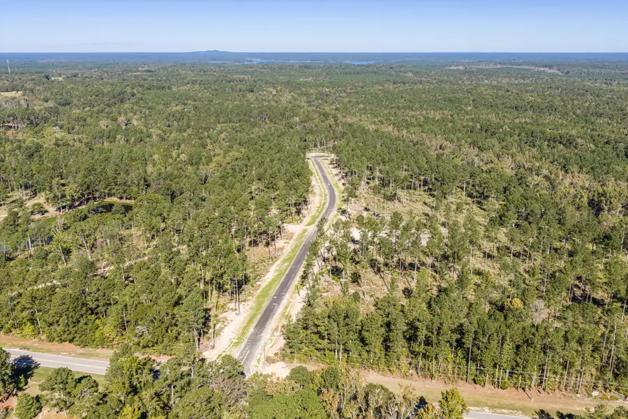 150 Beagle Chase Drive, Appling, GA 30802 - #3