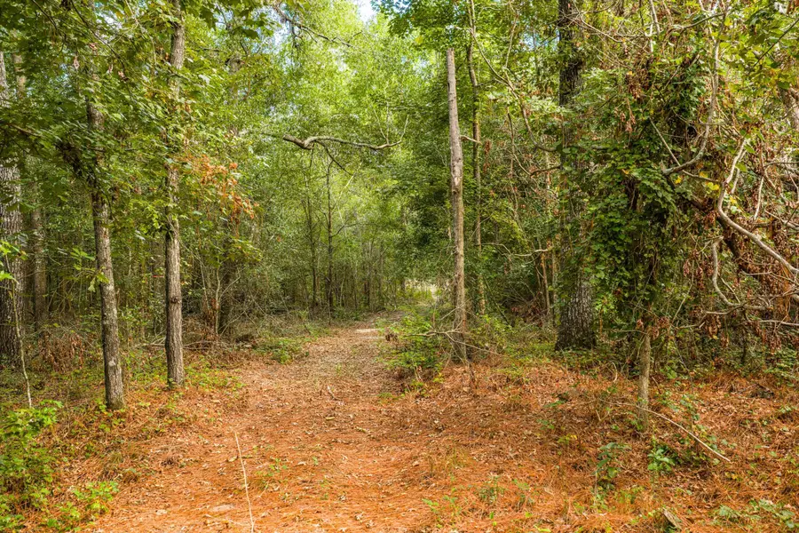 1503 Hephzibah - Mcbean Road, Hephzibah, GA 30815 - #3