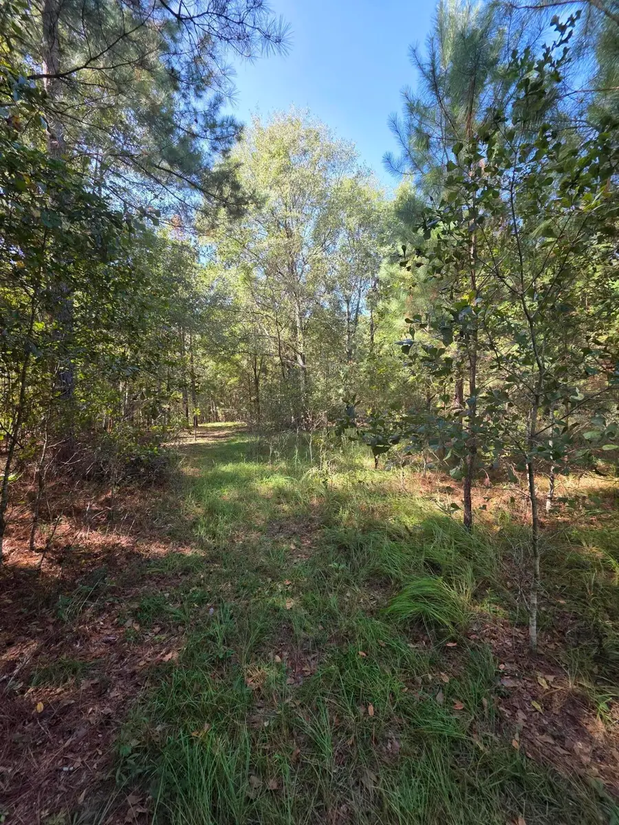 0 Beaver Dam Road, Perkins, GA  - #2