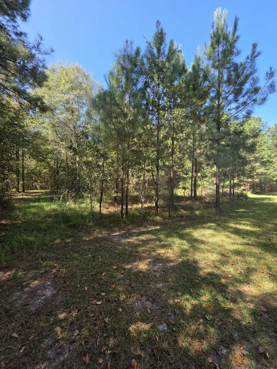 0 Beaver Dam Road, Perkins, GA  - #3