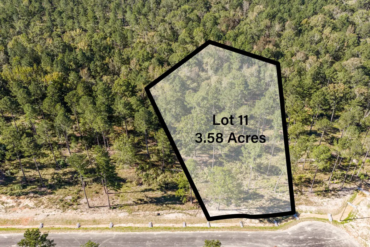 166 Beagle Chase Drive, Appling, GA  - #1