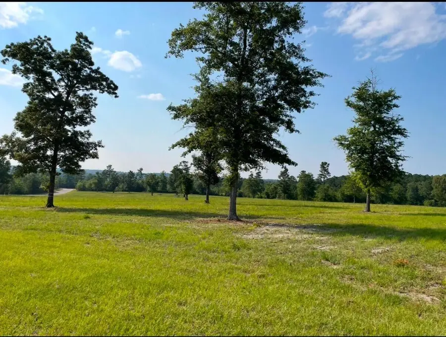 0 Cooks Pond Road, Williston, SC 29853 - #3