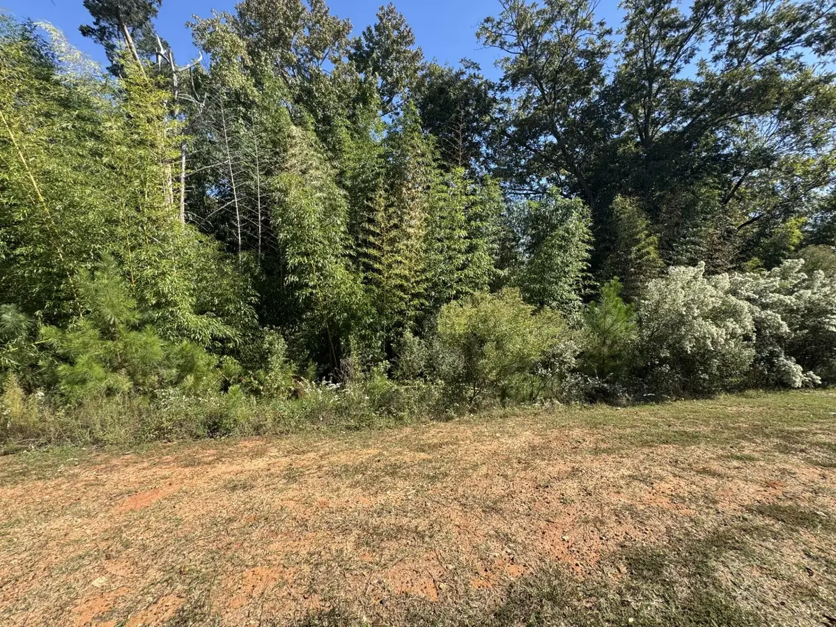 0 E Robinson Avenue, Grovetown, GA 30813 - #1