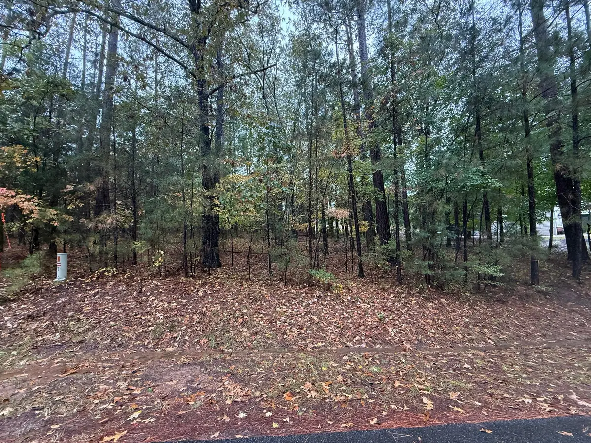 11-23 Brassie Drive, McCormick, SC 29835 - #1