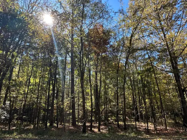 167 Southwind Drive, McCormick, SC 29835