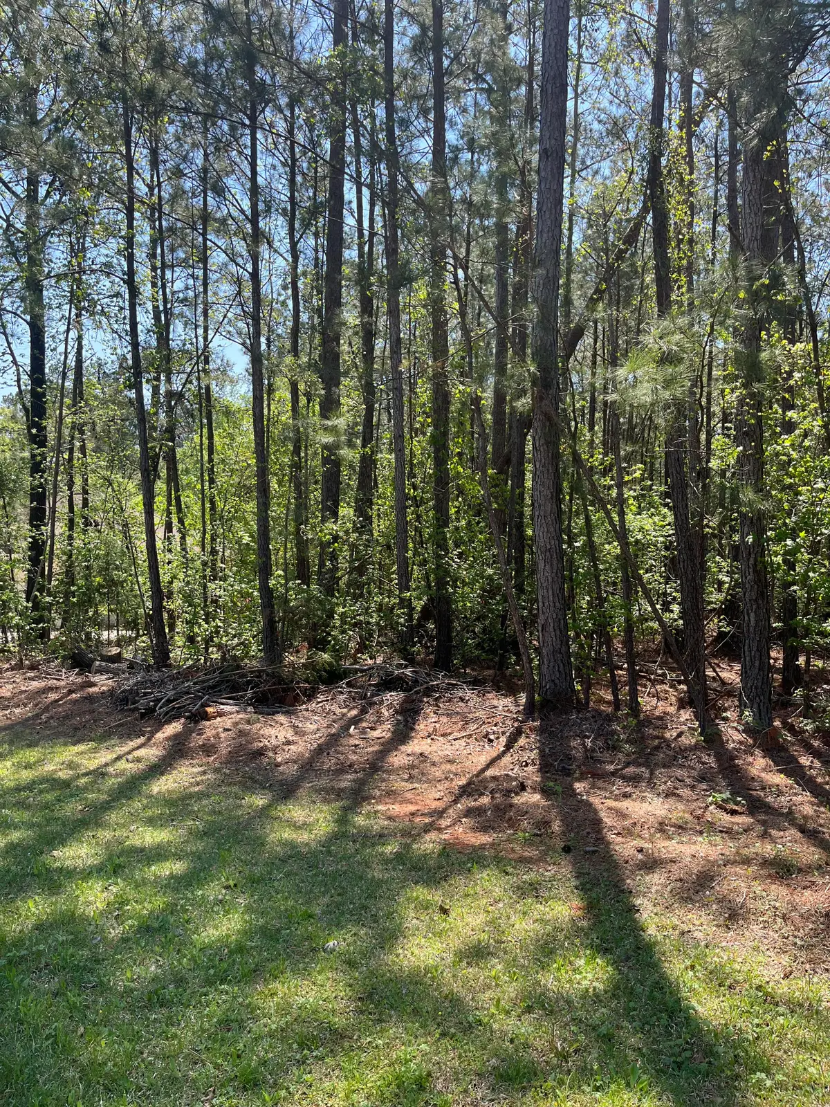 L14 B39 Antioch Drive, McCormick, SC 29835 - #1
