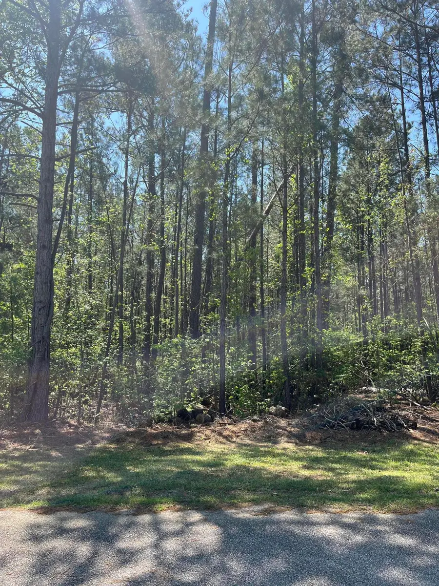 L14 B39 Antioch Drive, McCormick, SC 29835 - #3