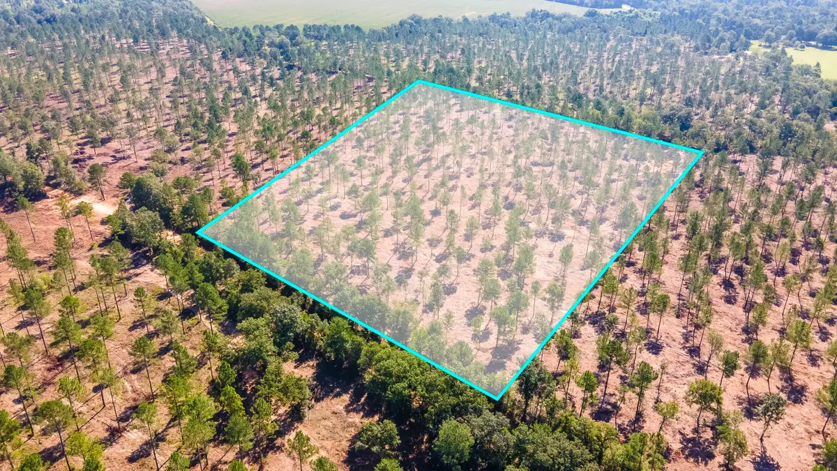 Lot 5 Bluffwood Road, Wagener, SC 29164 - #1