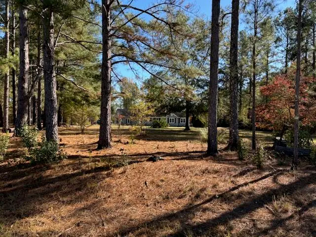 131 Marks Walden Road, Blythe, GA 30805 - #2