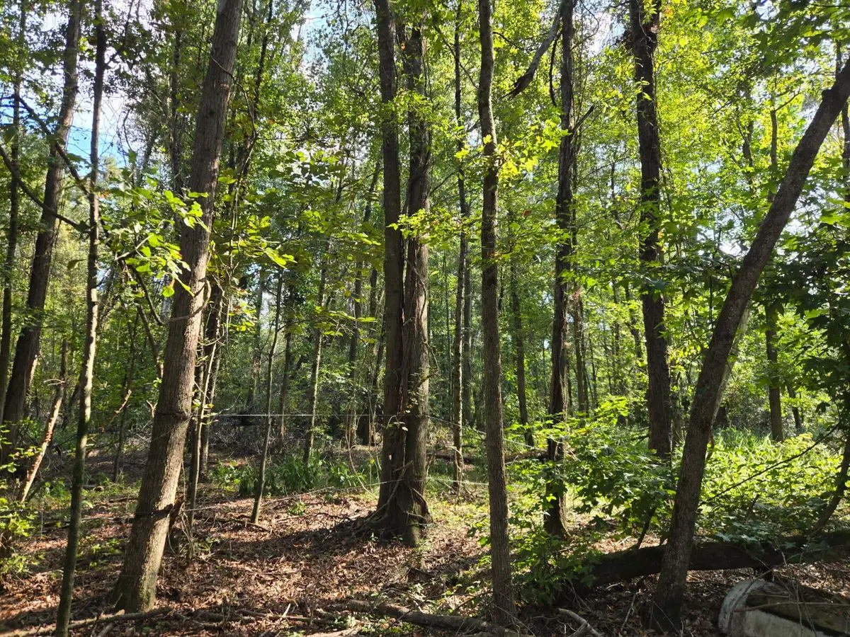 B Caprice Lane, Beech Island, SC 29842 - #1