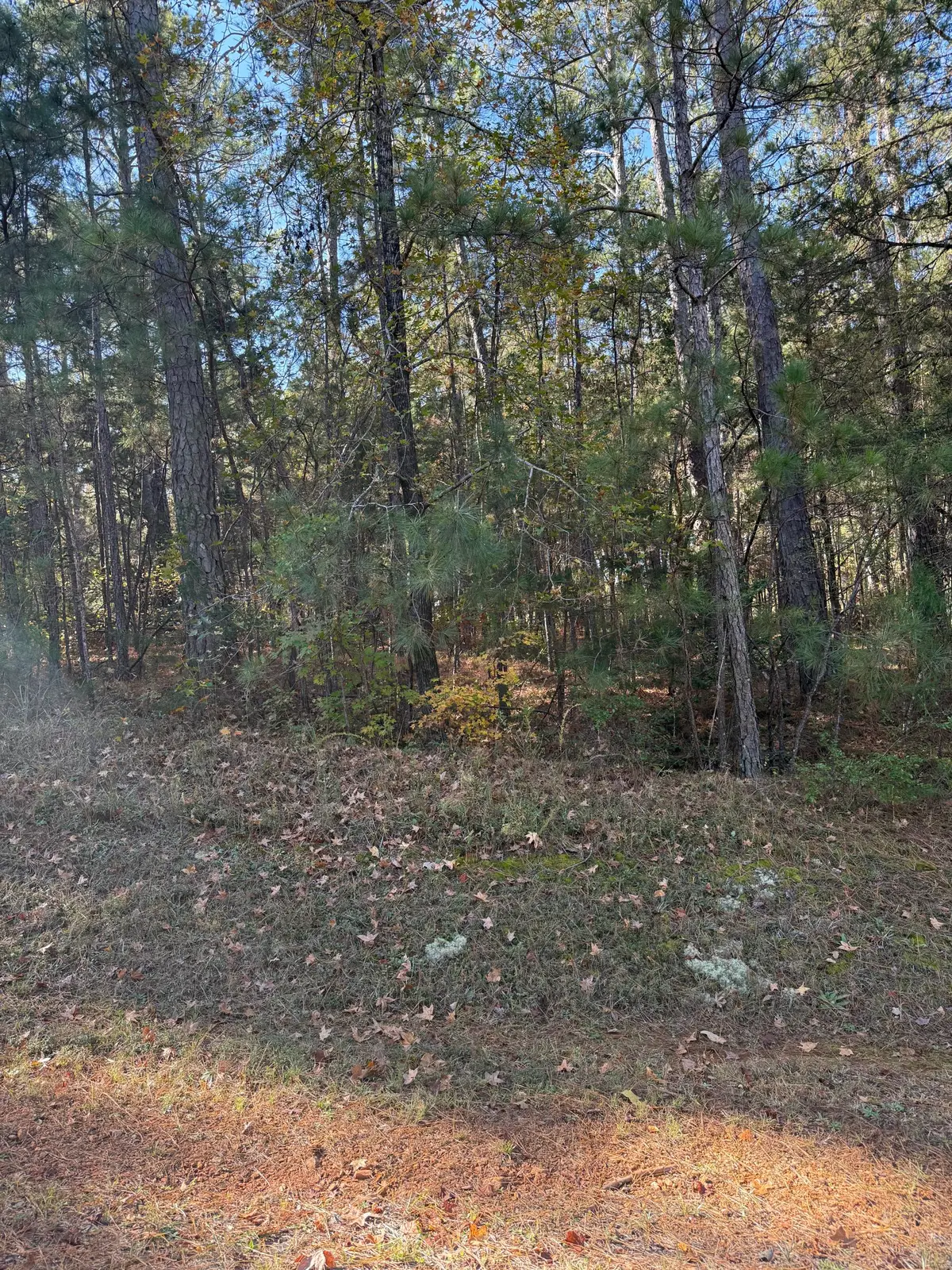 Lot 13 Two Wood Pl, McCormick, SC 29835 - #1
