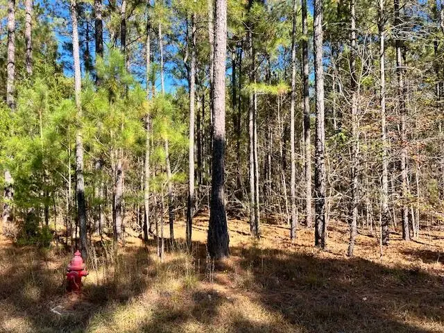0 Mariners Way, Lincolnton, GA 30817 - #1