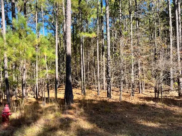 0 Mariners Way, Lincolnton, GA 30817 - #3