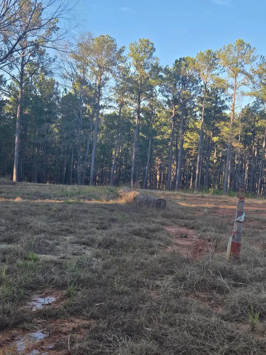 0 Pineridge Drive, Lincolnton, GA 30817 - #3