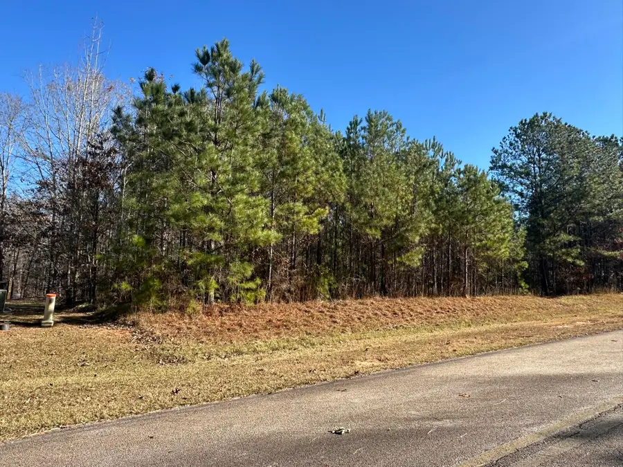 Lot 62 Wisteria Drive, Lincolnton, GA 30817 - #2
