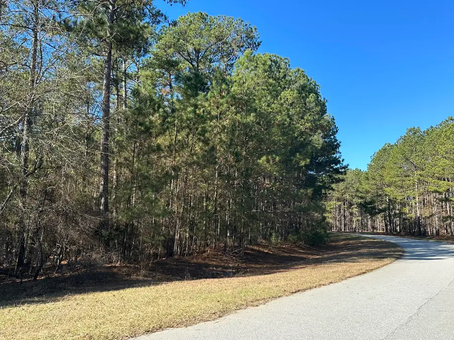 1252 Rogers Road, Tignall, GA 30668 - #3