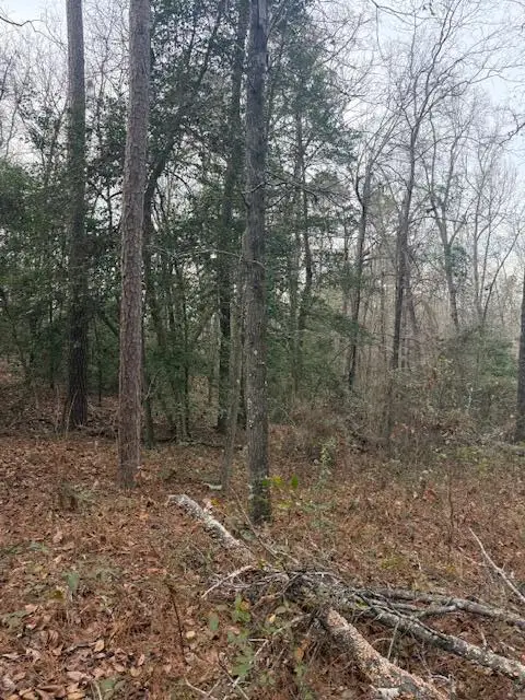 2005 Mcdade Farm Road, Hephzibah, GA 30815 - #1