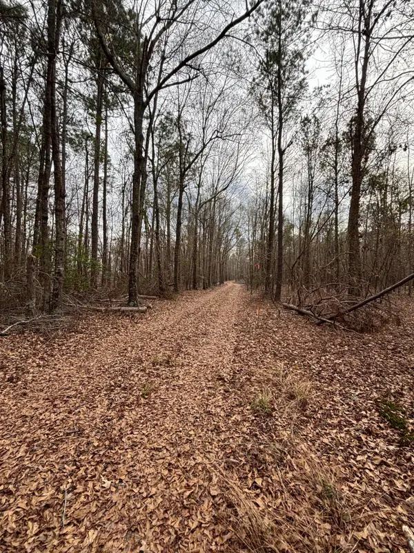 745 Wright Allen Road, Blythe, GA 30805