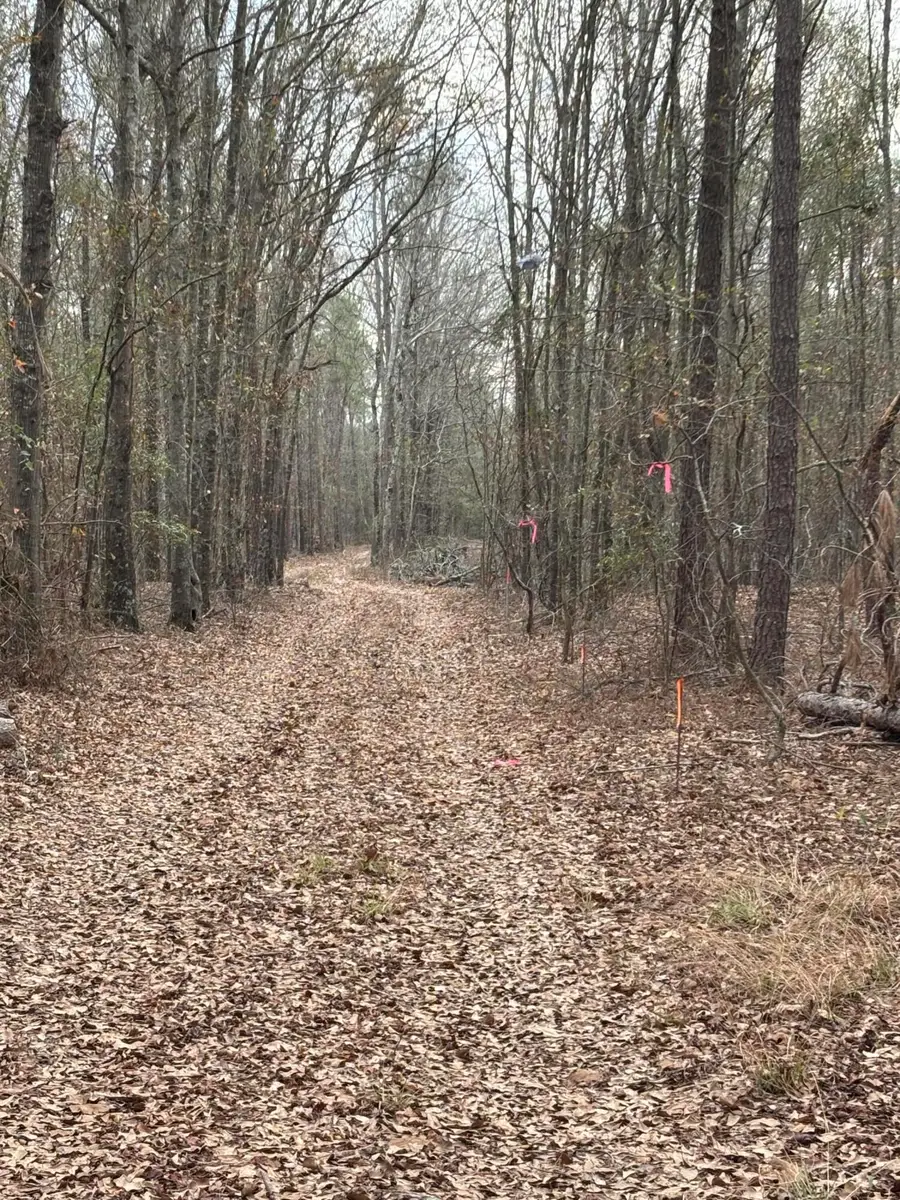 745 Wright Allen Road, Blythe, GA 30805 - #2